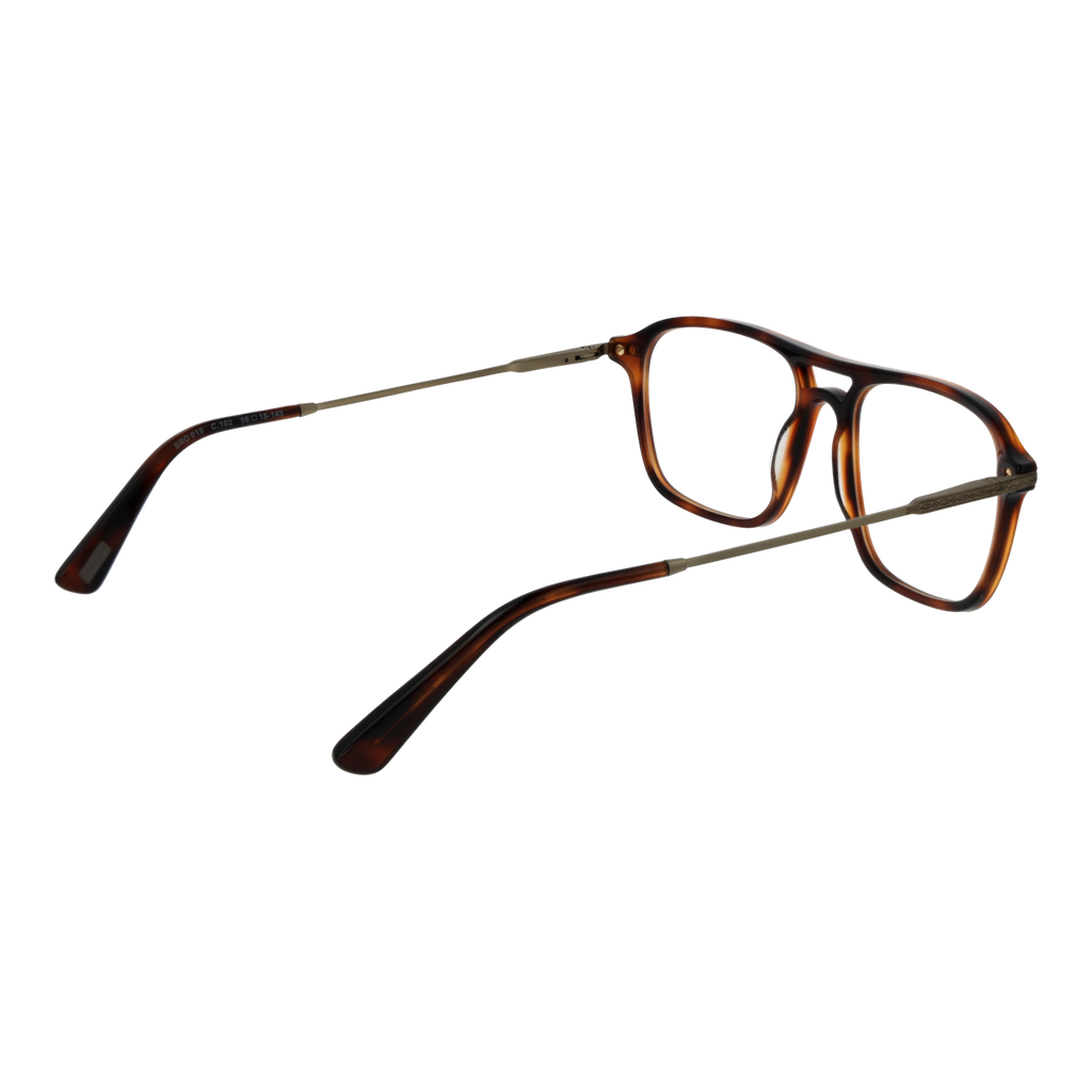 Brown/Demo glasses
