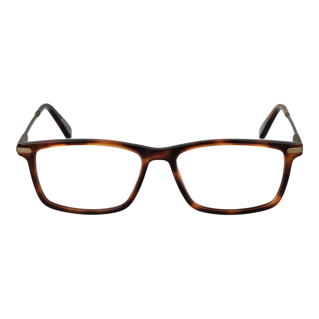 Brown/Demo glasses