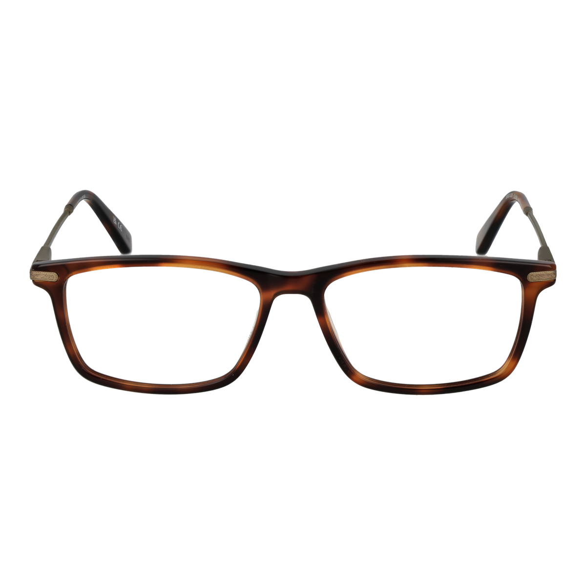 Brown/Demo glasses