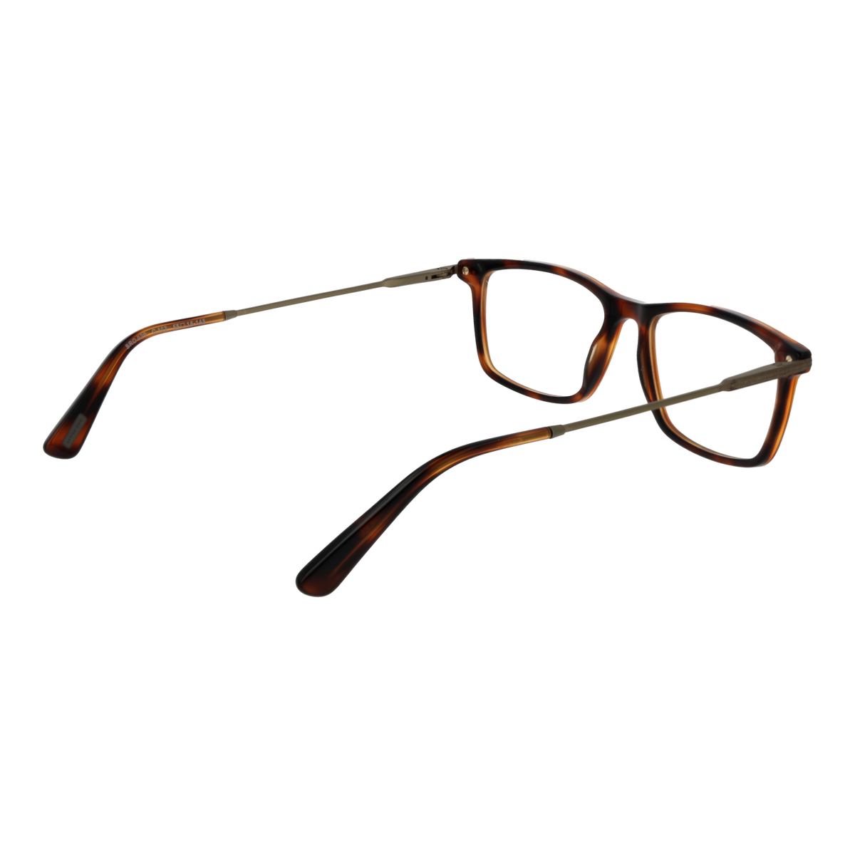 Brown/Demo glasses