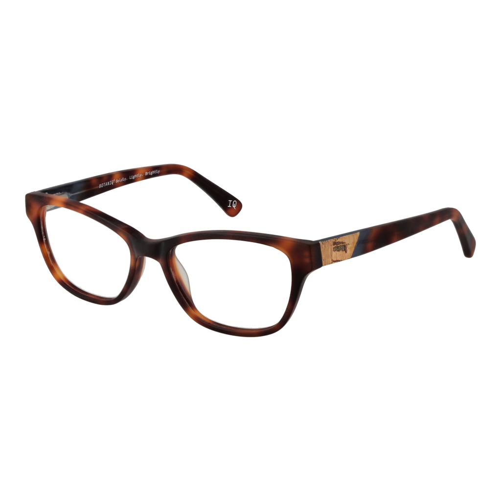 Brown/Demo glasses