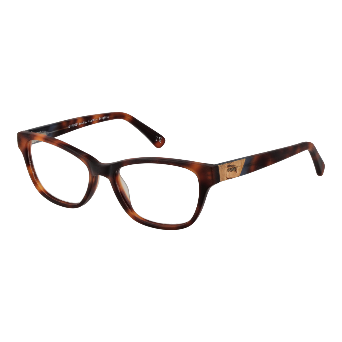 Brown/Demo glasses