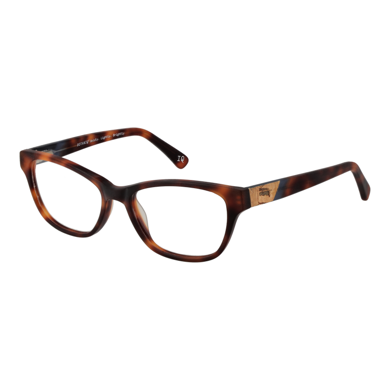 Brown/Demo glasses