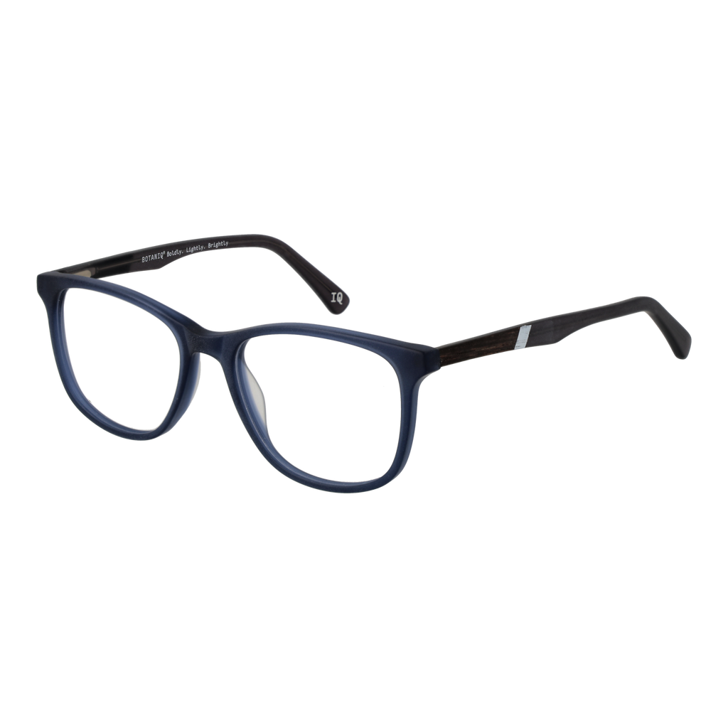 Blue/Demo glasses