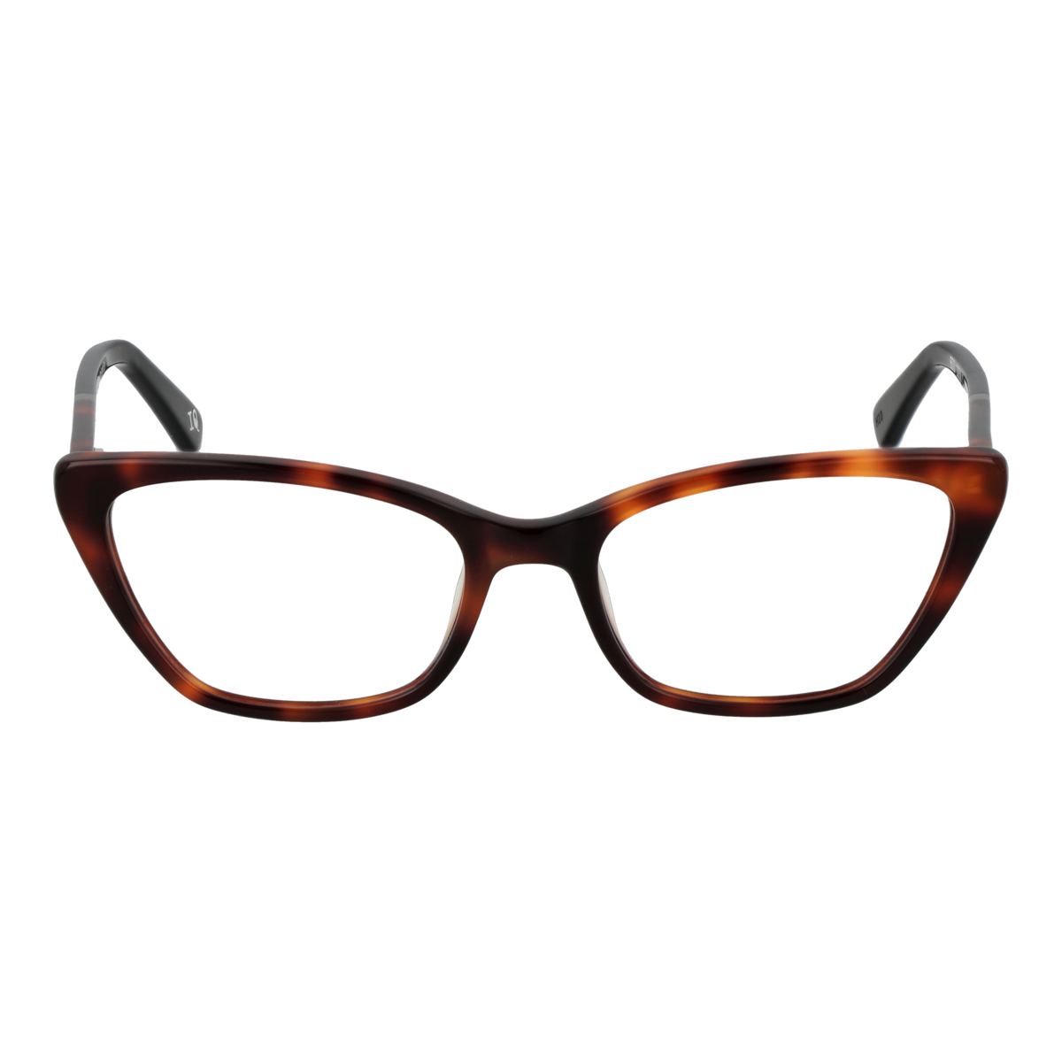 Brown/Demo glasses
