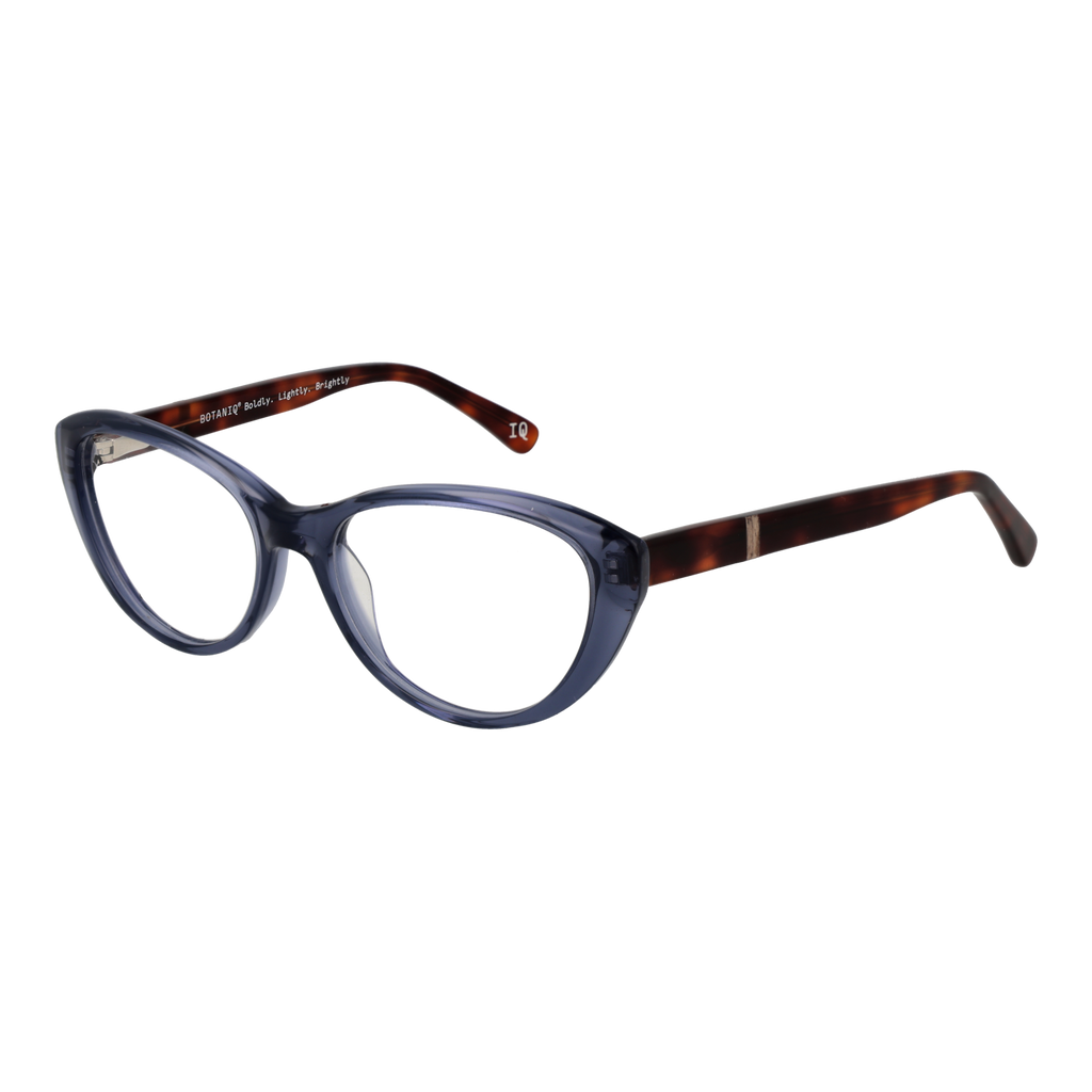 Grey/Demo glasses