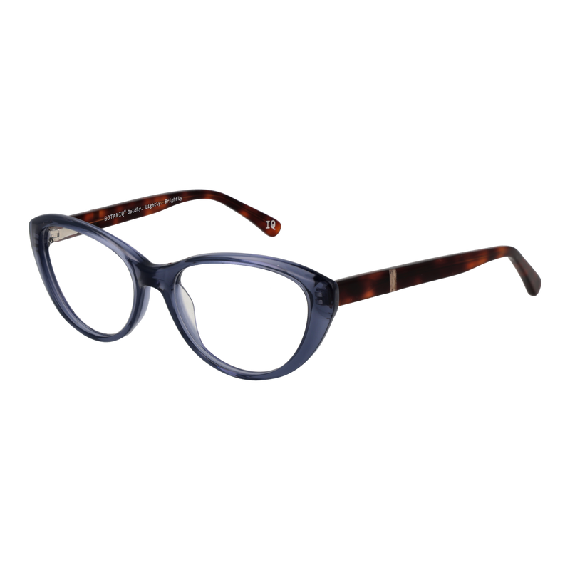Grey/Demo glasses