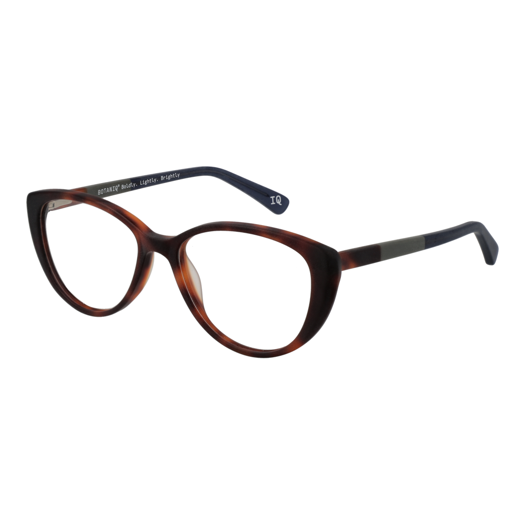 Brown/Demo glasses