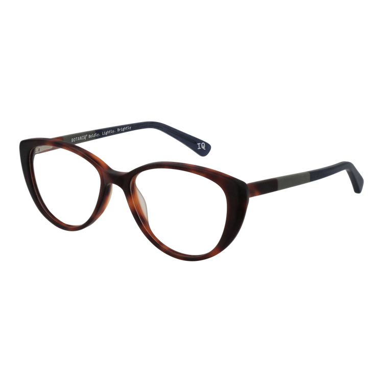 Brown/Demo glasses