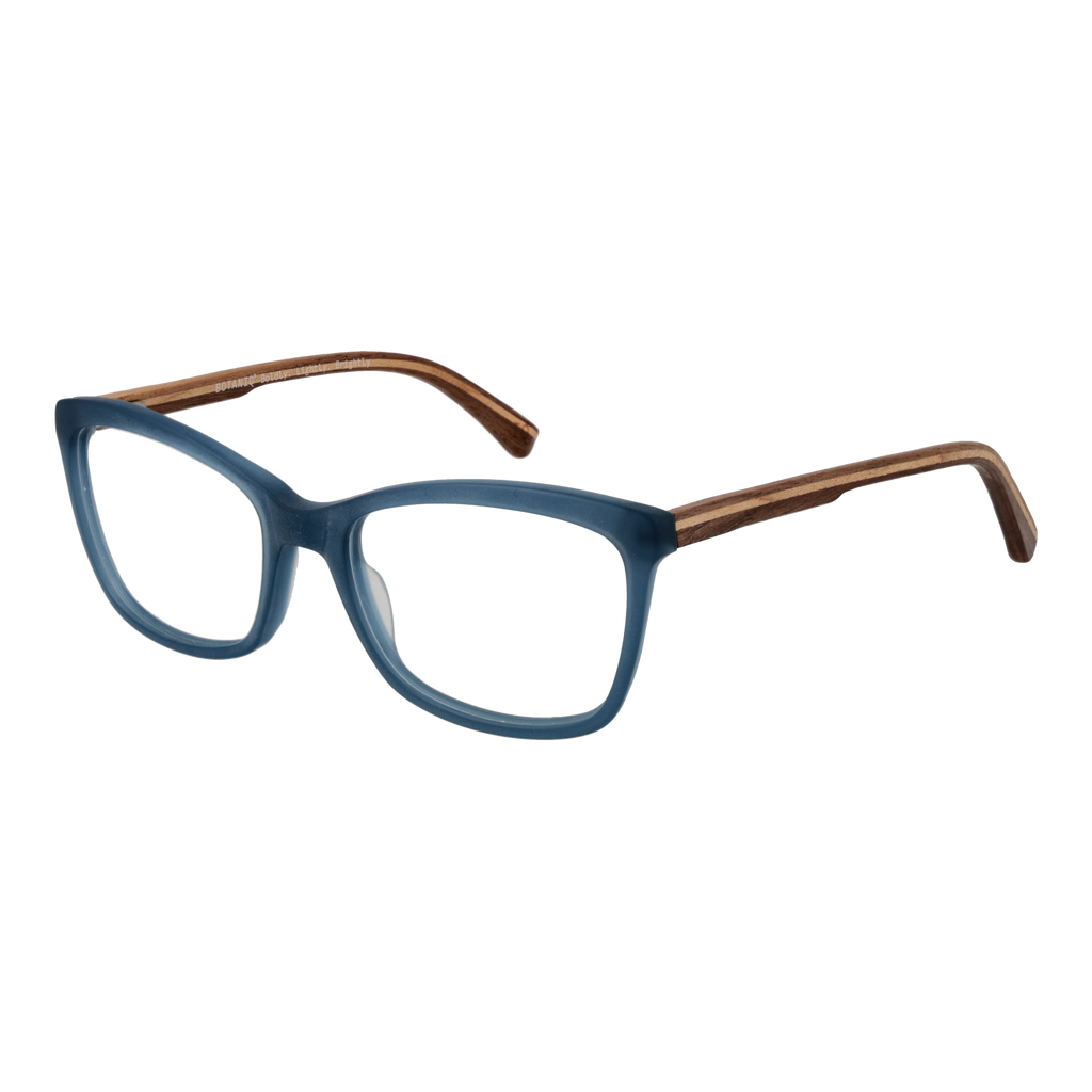Blue/Demo glasses
