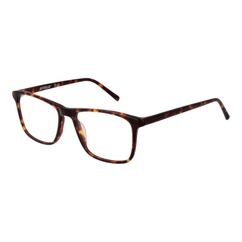Brown/Demo glasses