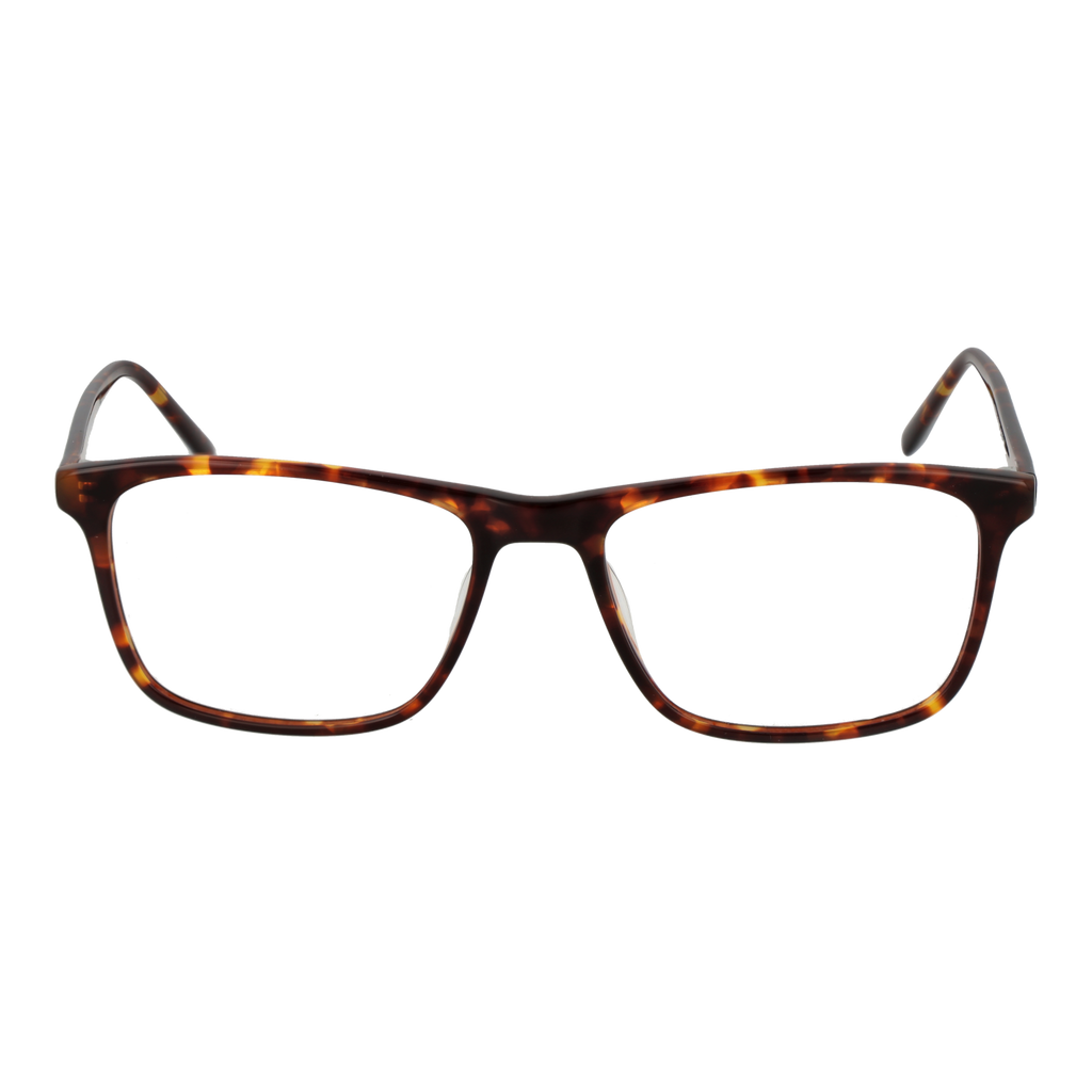 Brown/Demo glasses
