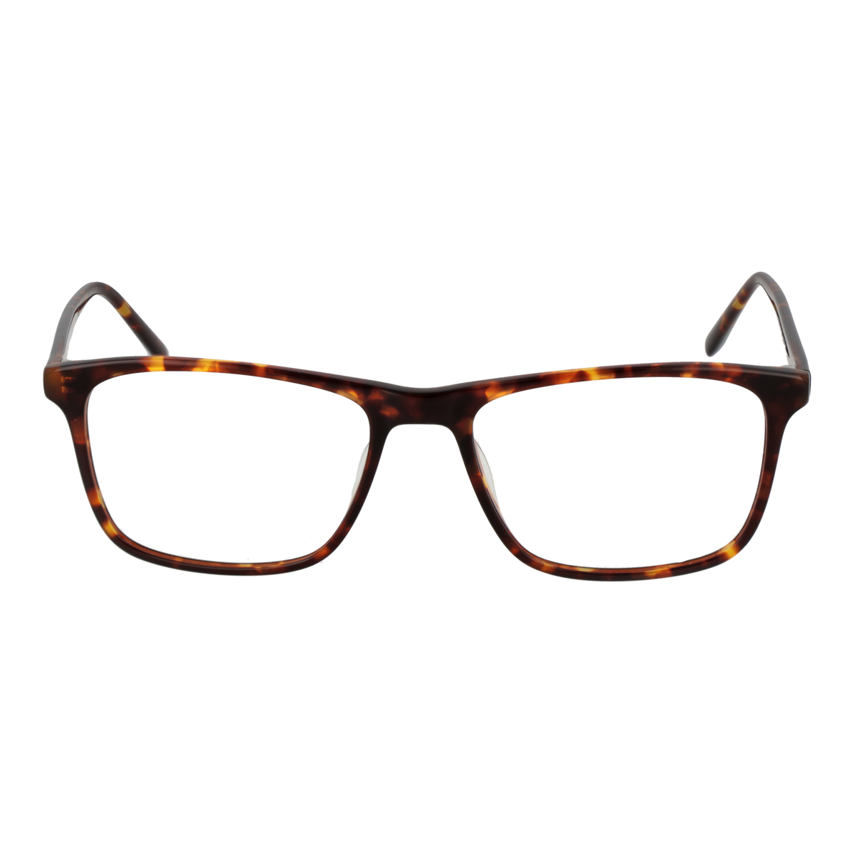 Brown/Demo glasses