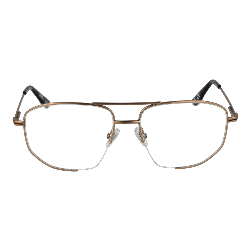 Gold/Demo glasses
