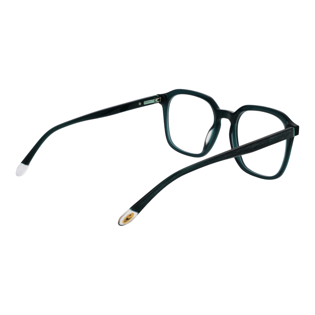 Green/Demo glasses