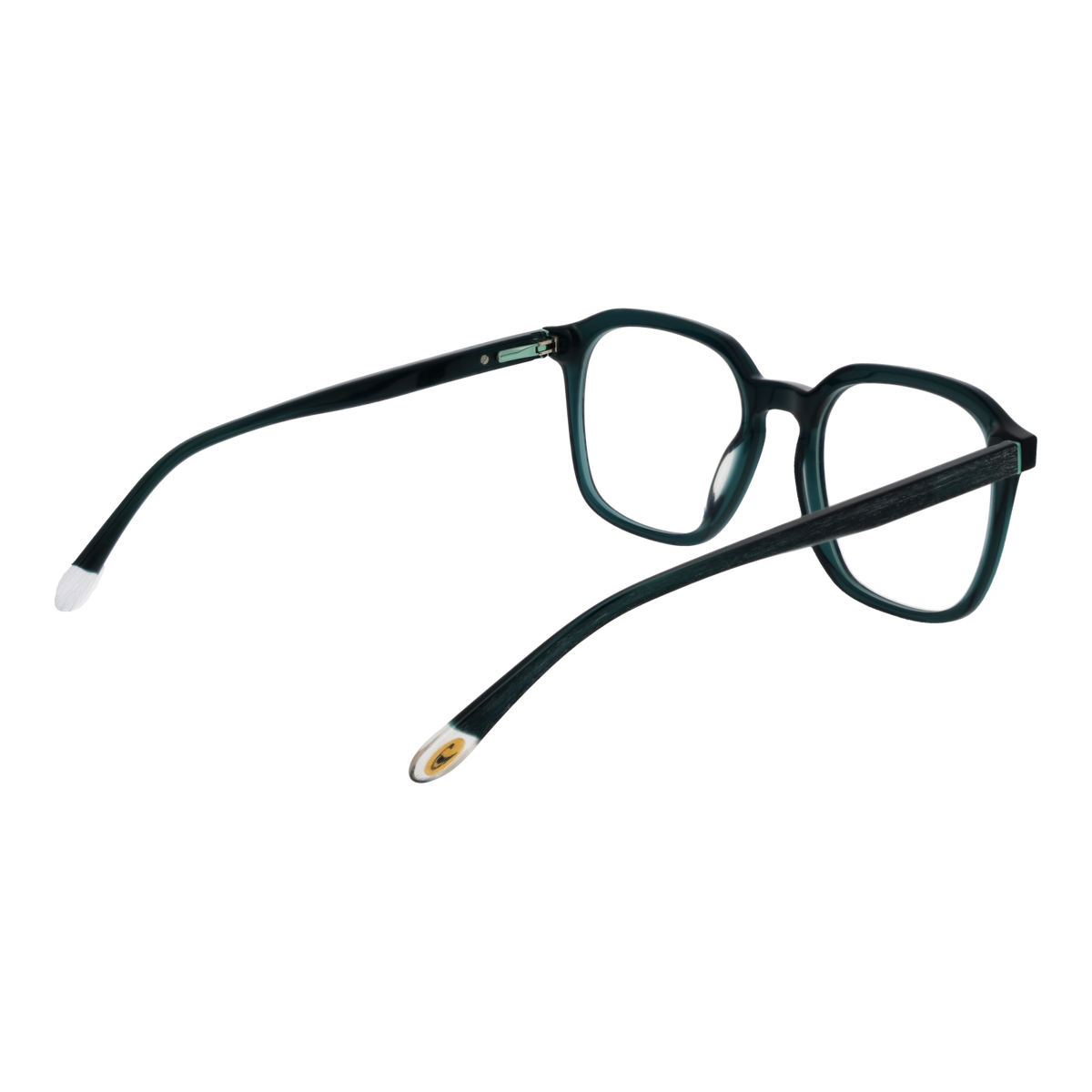 Green/Demo glasses