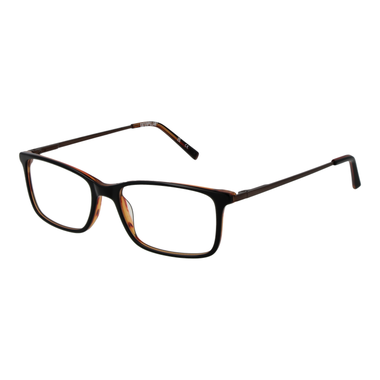 Brown/Demo glasses