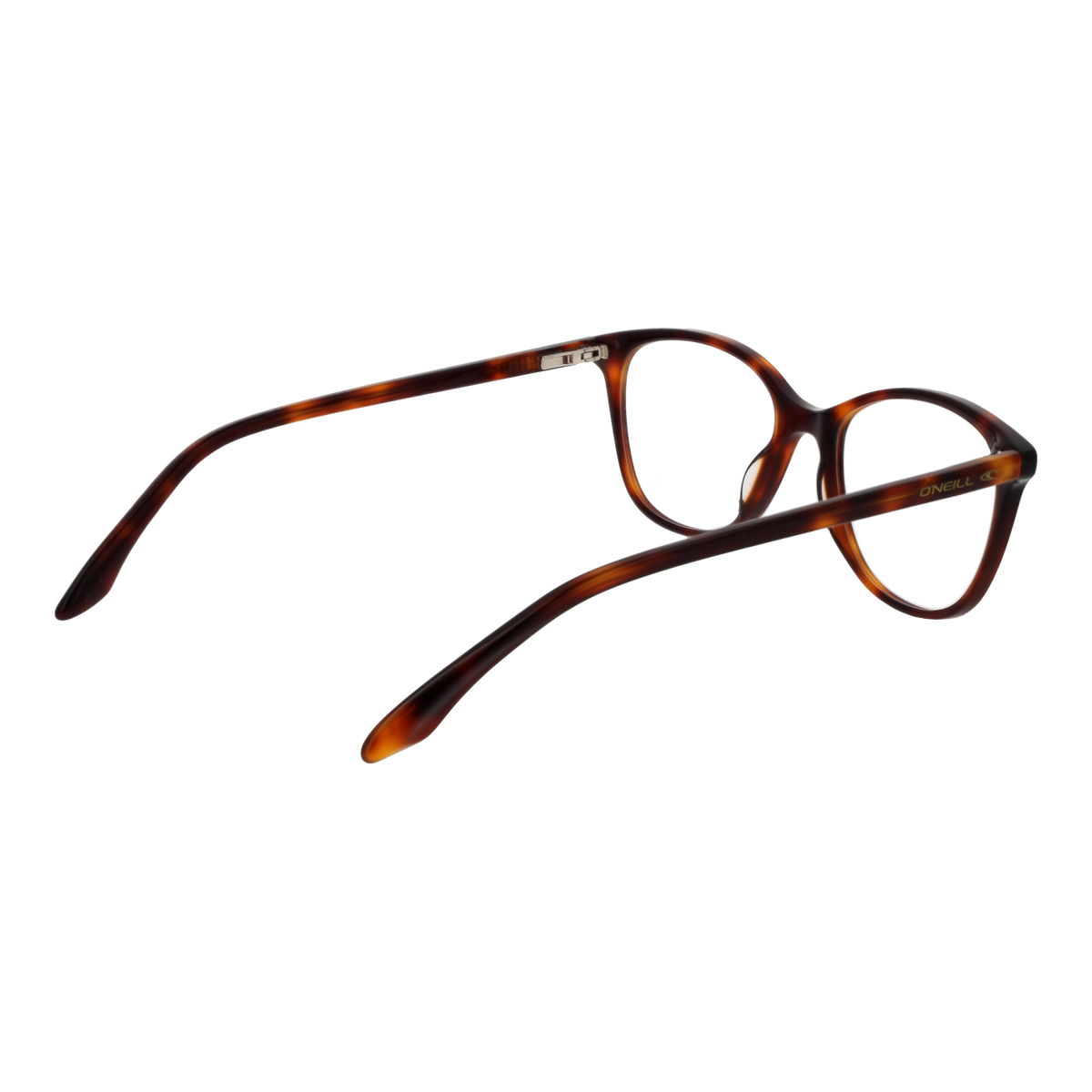 Brown/Demo glasses