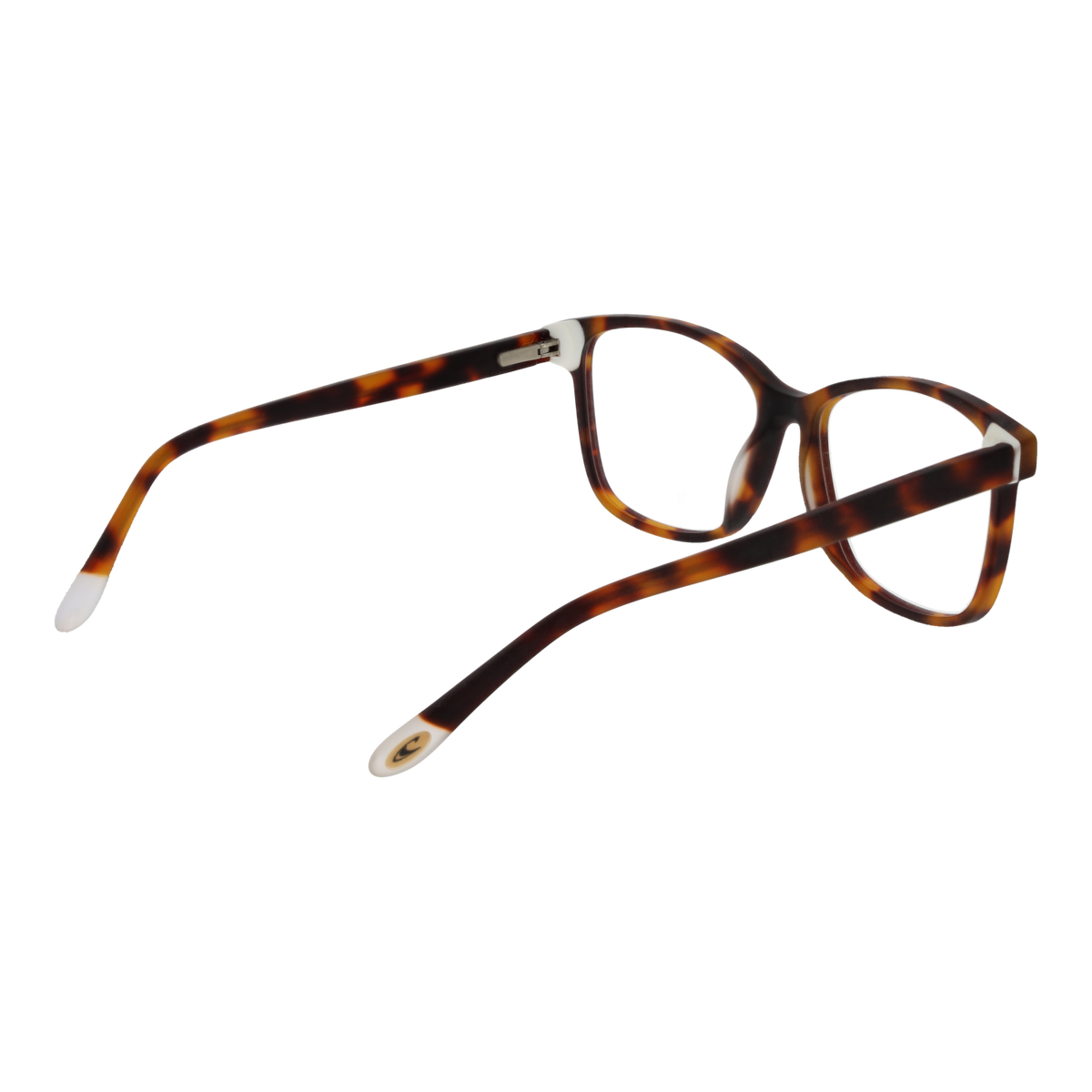 Brown/Demo glasses