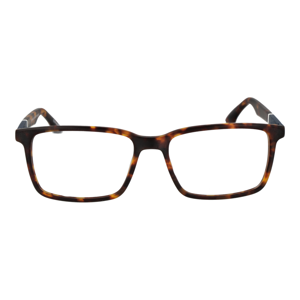Brown/Demo glasses