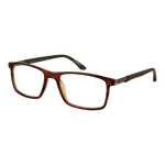 Brown/Demo glasses