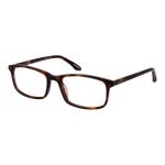 Brown/Demo glasses