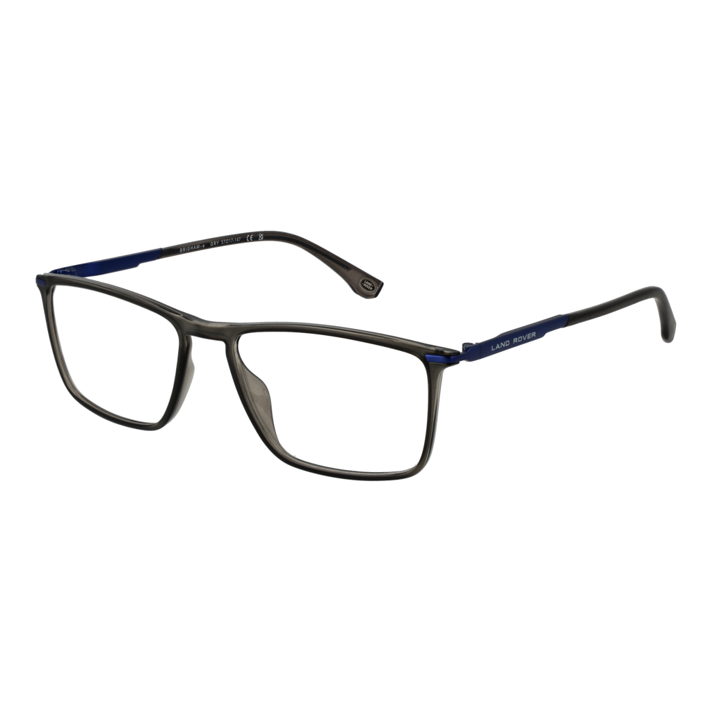Grey/Demo glasses