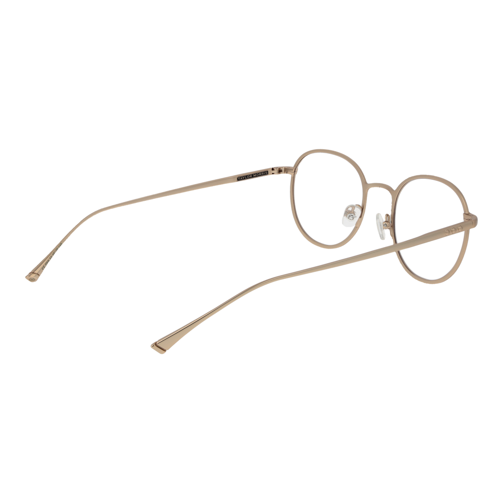 Silver/Demo glasses