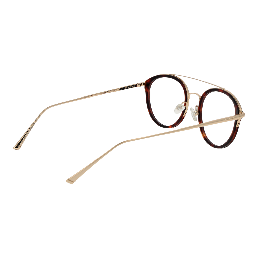 Brown/Demo glasses