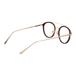 Brown/Demo glasses