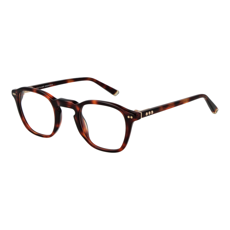 Brown/Demo glasses