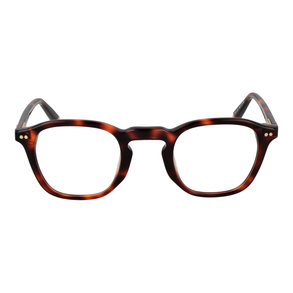 Brown/Demo glasses