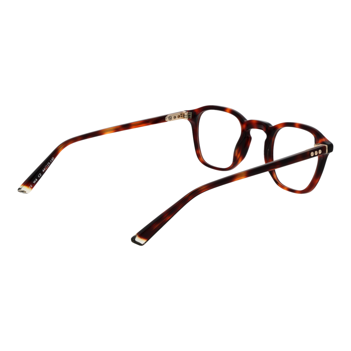 Brown/Demo glasses
