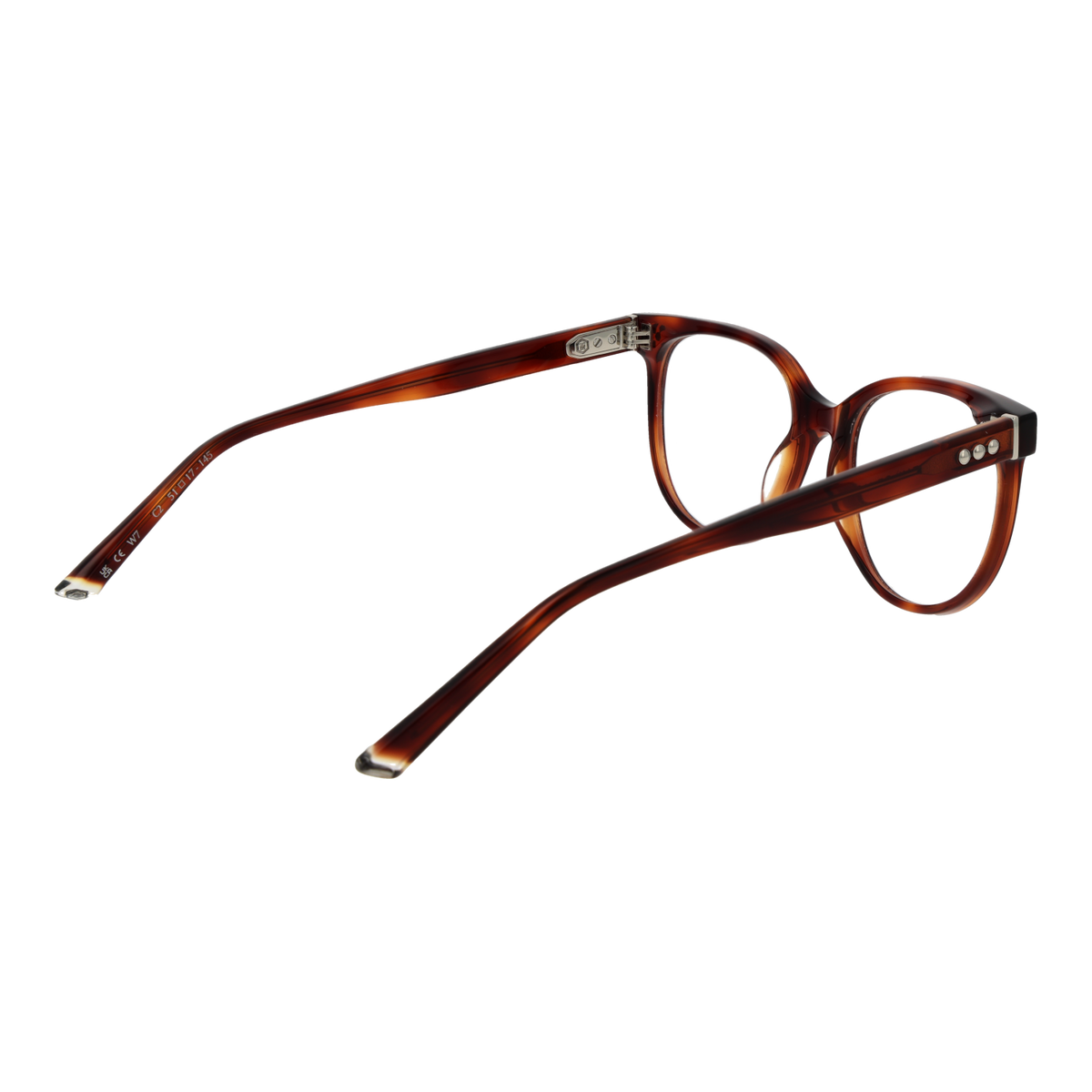Brown/Demo glasses