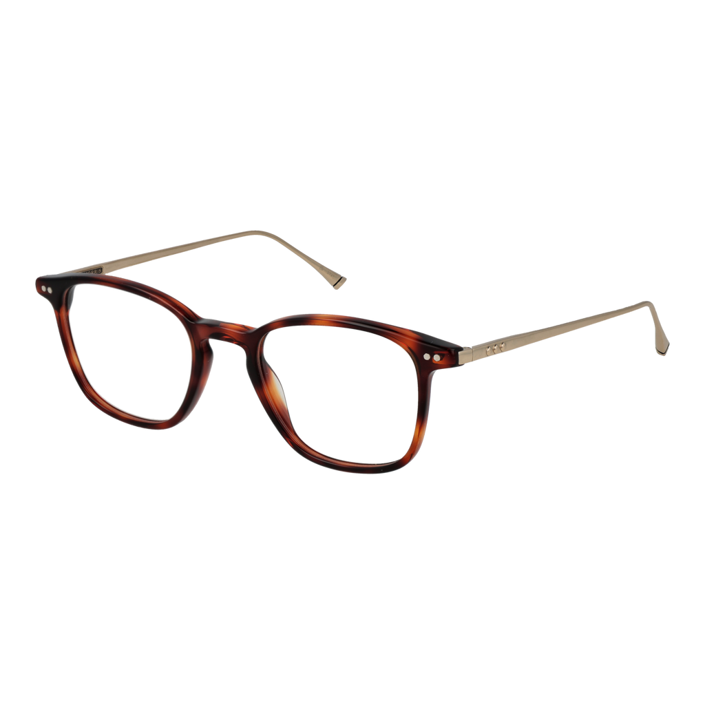 Brown/Demo glasses