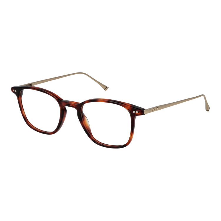 Brown/Demo glasses