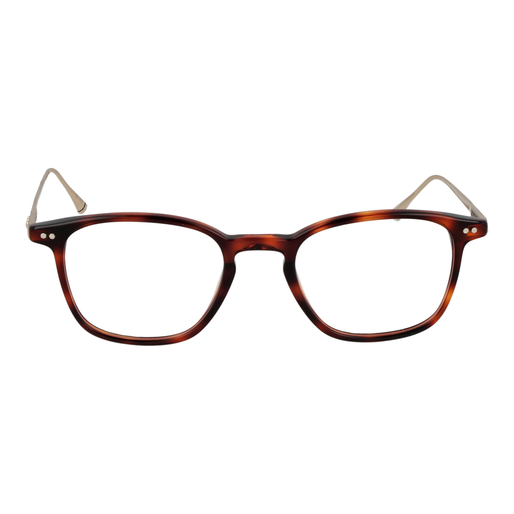 Brown/Demo glasses