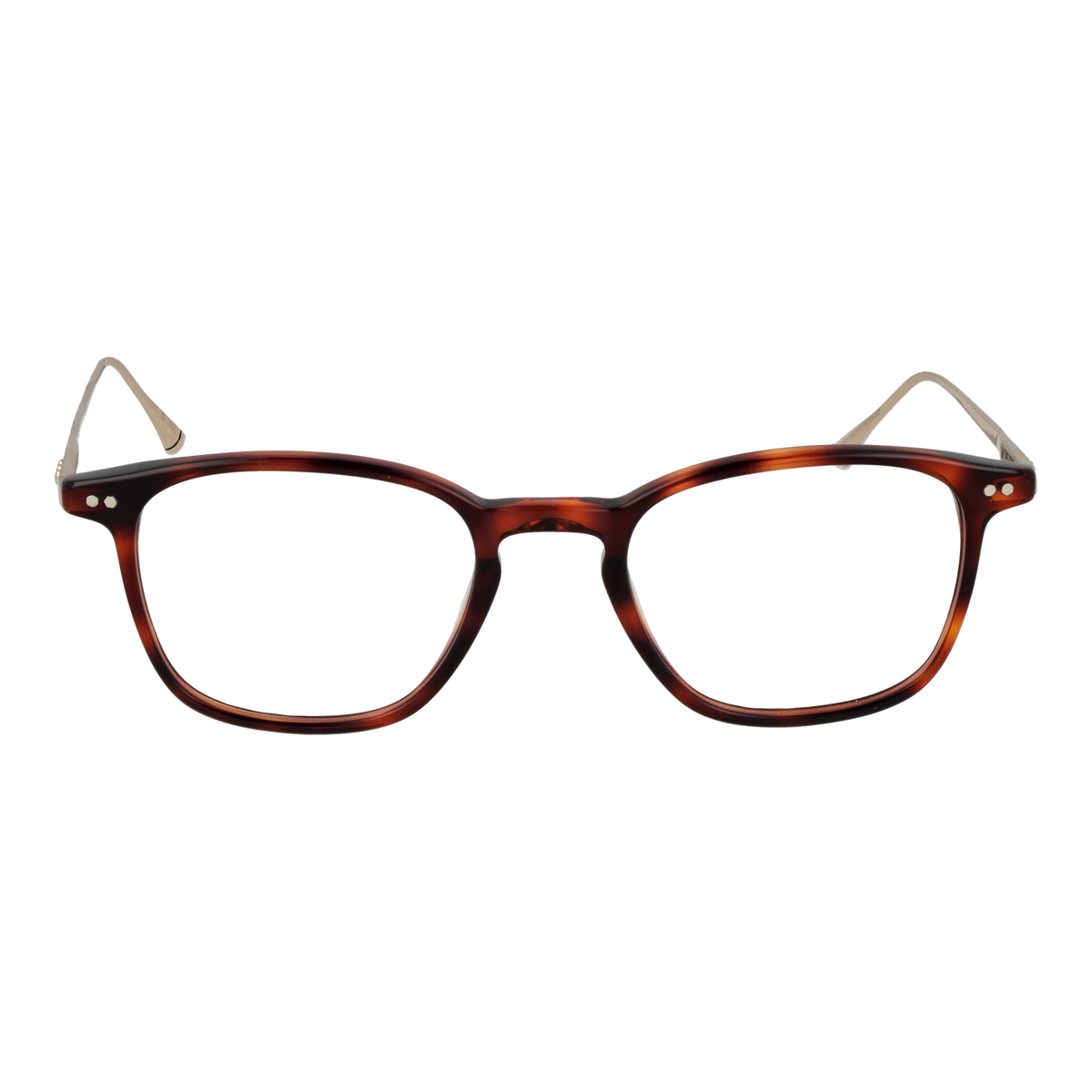 Brown/Demo glasses