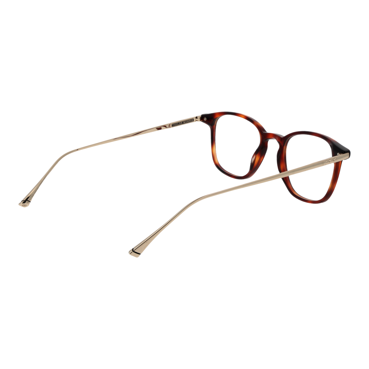 Brown/Demo glasses