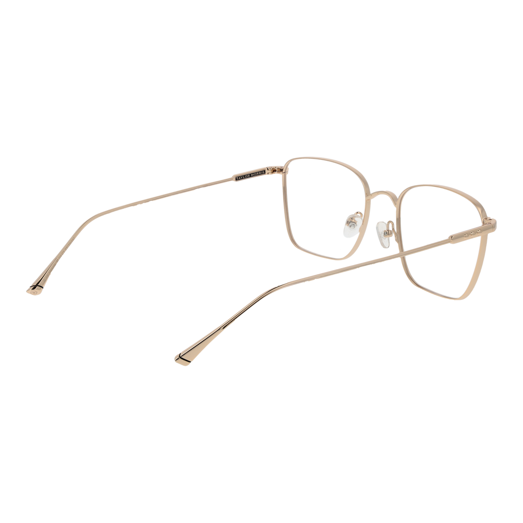 Gold/Demo glasses