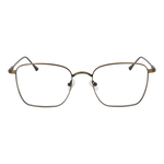 Gold/Demo glasses