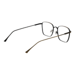 Gold/Demo glasses