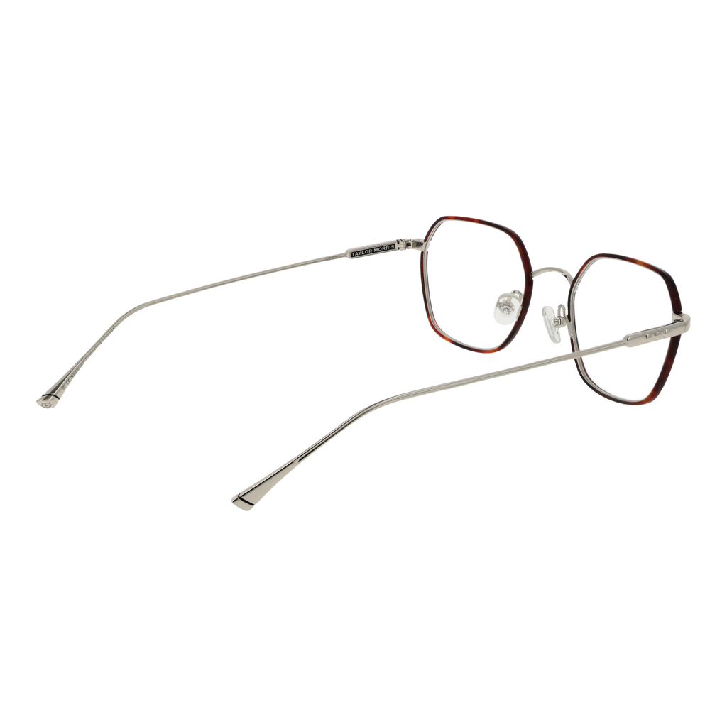 Brown/Demo glasses