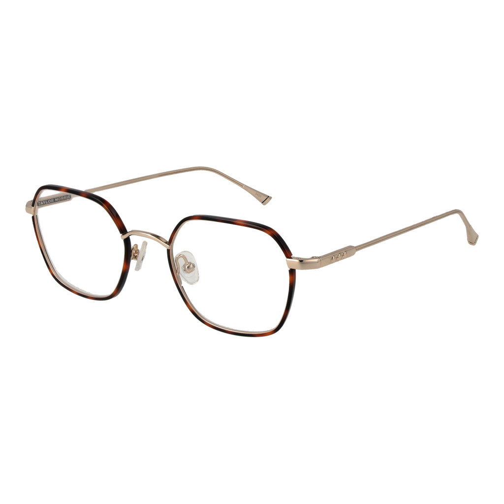 Brown/Demo glasses