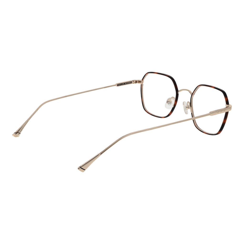 Brown/Demo glasses