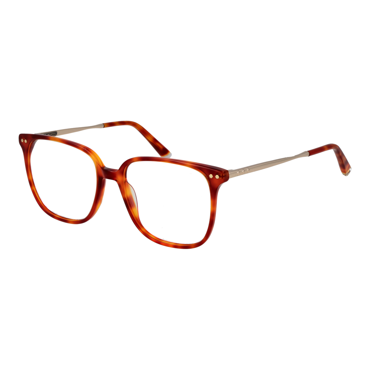 Orange/Demo glasses