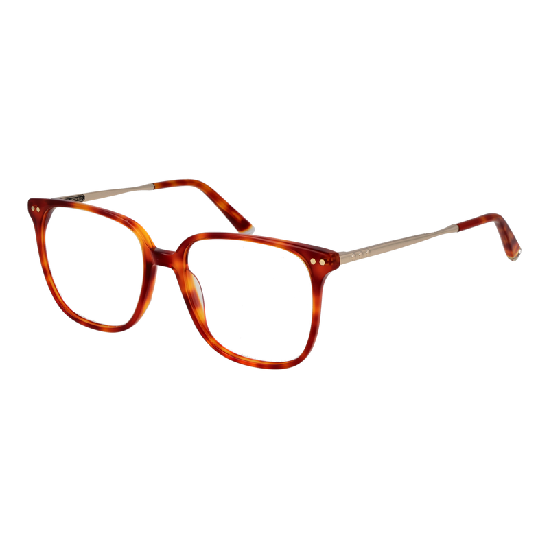 Orange/Demo glasses