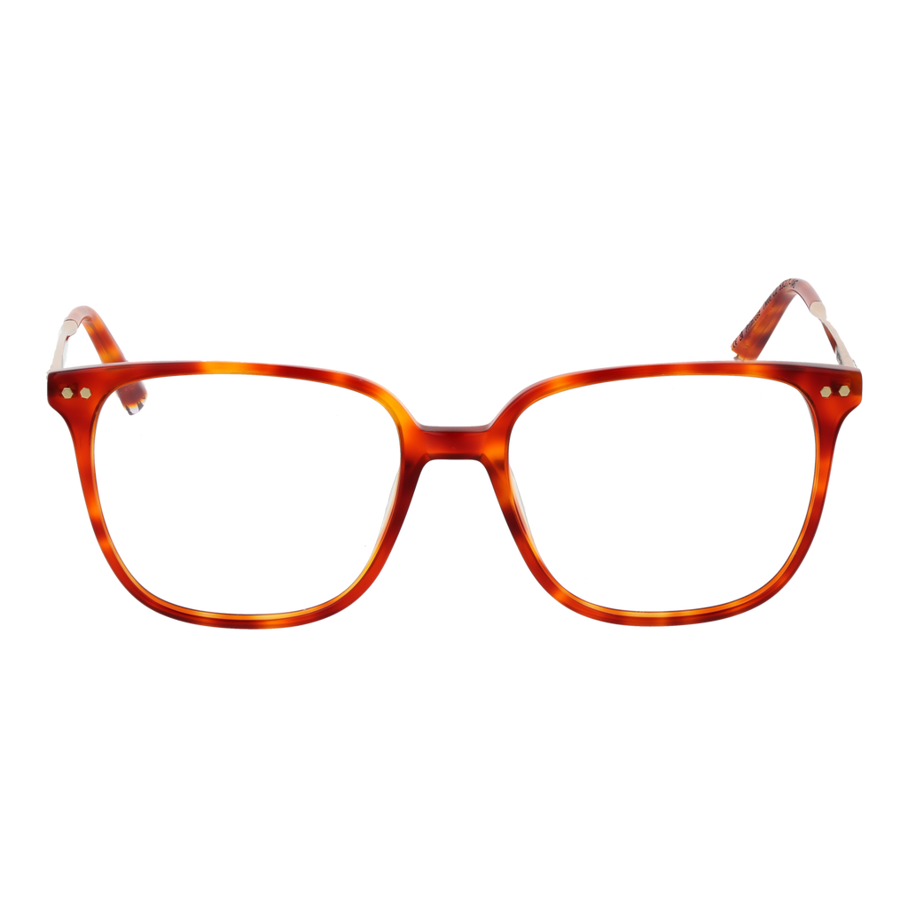 Orange/Demo glasses