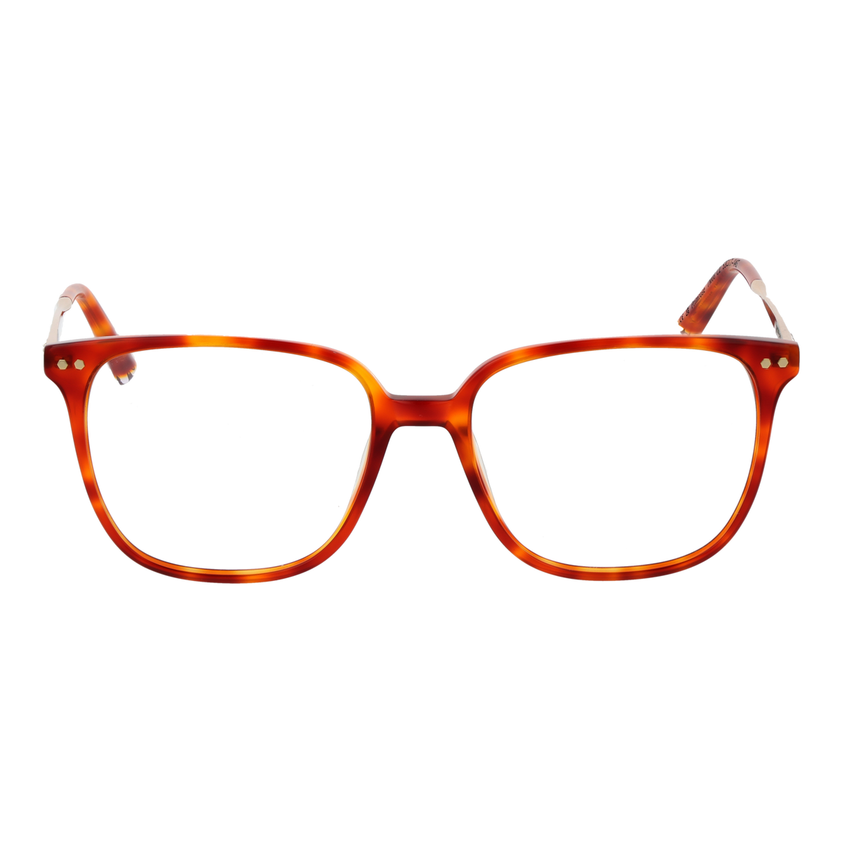 Orange/Demo glasses