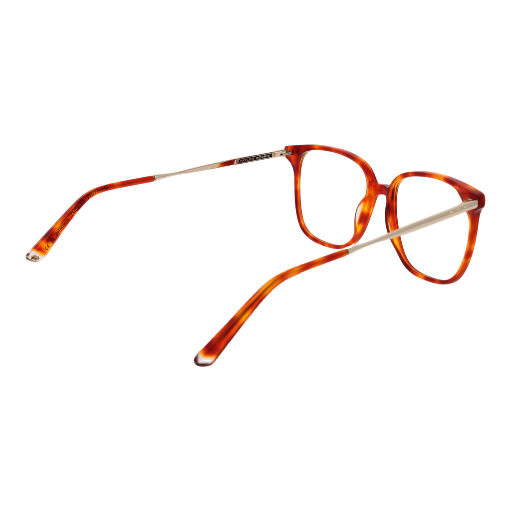 Orange/Demo glasses